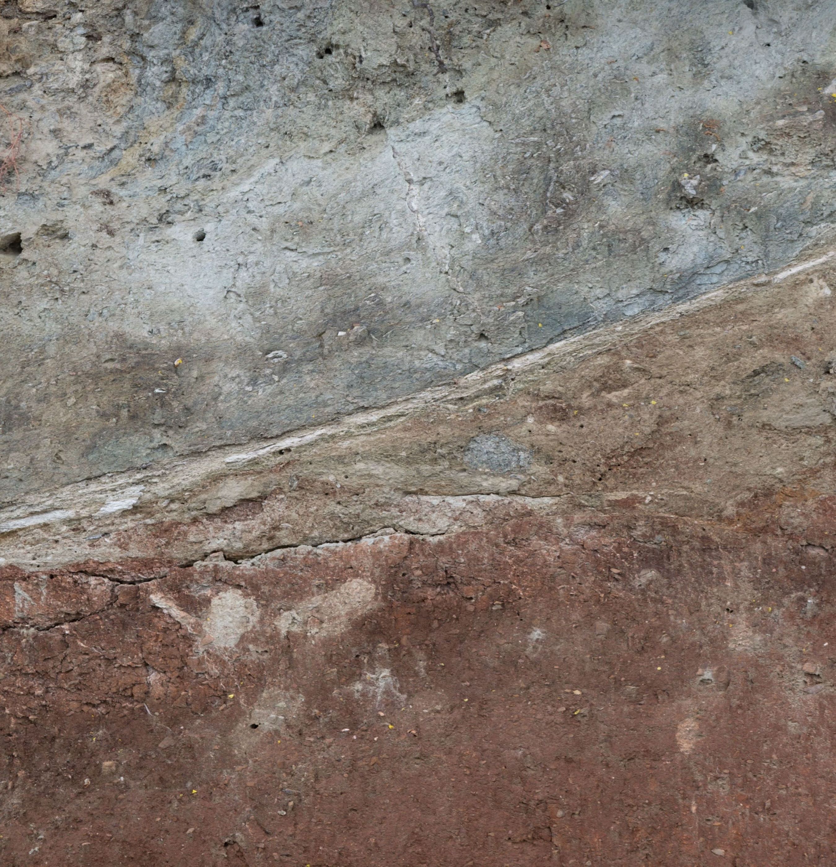 Trilofos l Soil l Naoussa